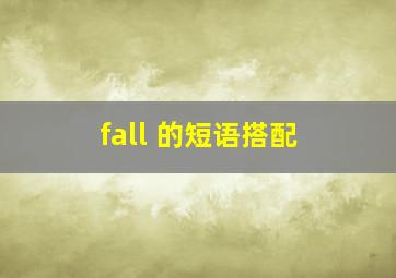 fall 的短语搭配